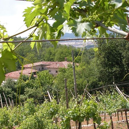 Agriturismo Ca' Verde SantʼAmbrogio di Valpolicella Eksteriør bilde