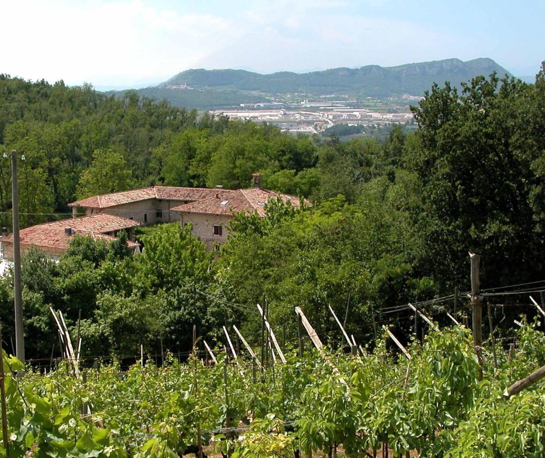 Agriturismo Ca' Verde SantʼAmbrogio di Valpolicella Eksteriør bilde