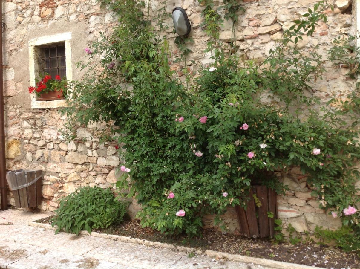 Agriturismo Ca' Verde SantʼAmbrogio di Valpolicella Eksteriør bilde