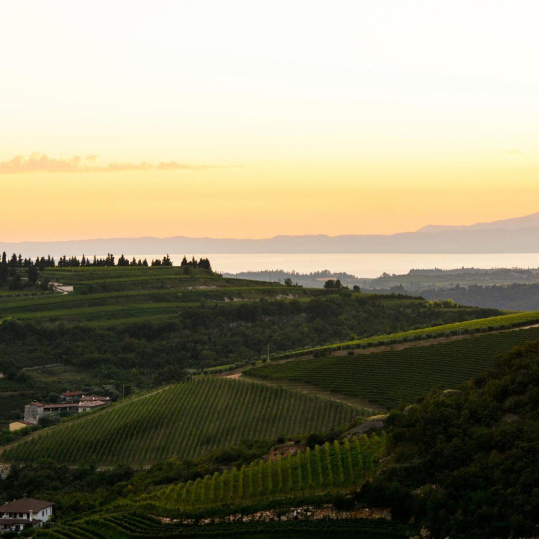 Agriturismo Ca' Verde SantʼAmbrogio di Valpolicella Eksteriør bilde