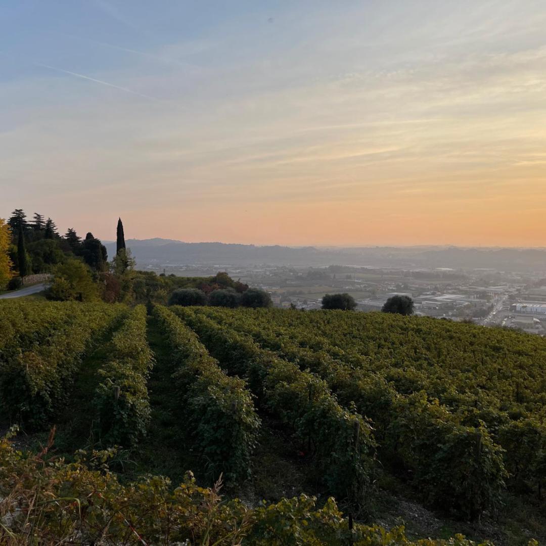 Agriturismo Ca' Verde SantʼAmbrogio di Valpolicella Eksteriør bilde