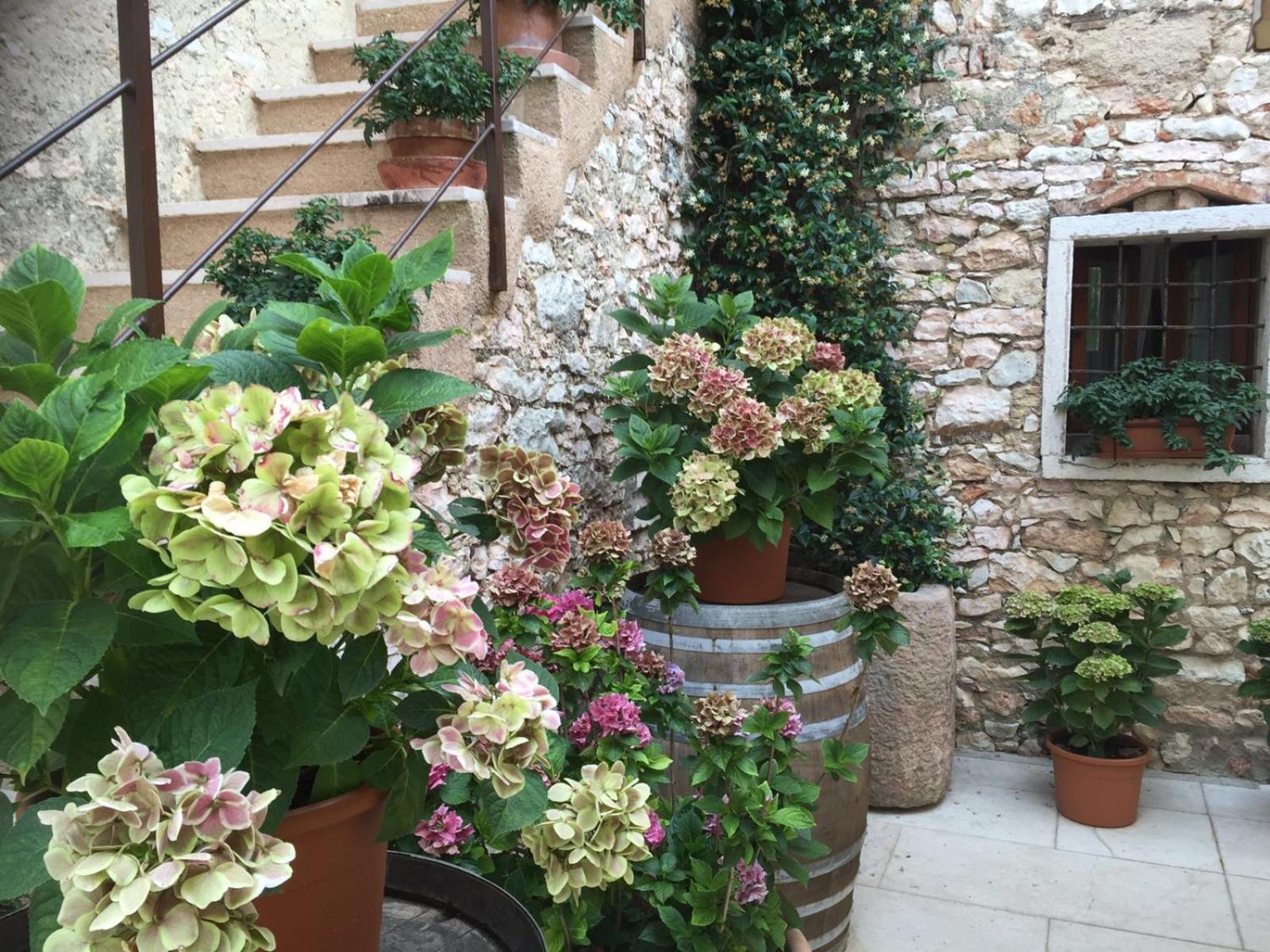 Agriturismo Ca' Verde SantʼAmbrogio di Valpolicella Eksteriør bilde