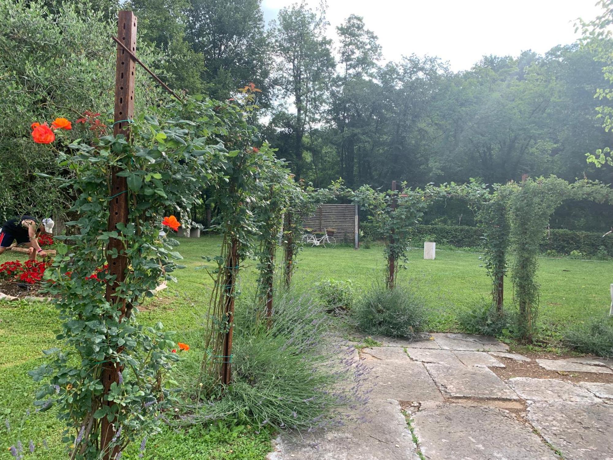 Agriturismo Ca' Verde SantʼAmbrogio di Valpolicella Eksteriør bilde